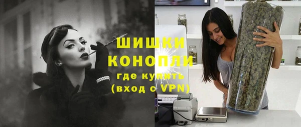 прущие грибы Абинск