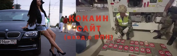 соль ск Абаза
