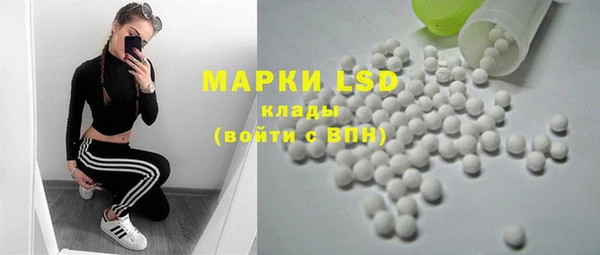 прущие грибы Абинск