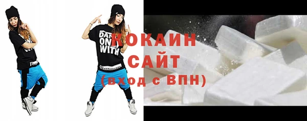 соль ск Абаза