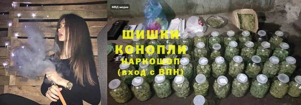 прущие грибы Абинск